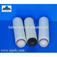 wine filter machine with PP/PTFE membrane pleated filter element